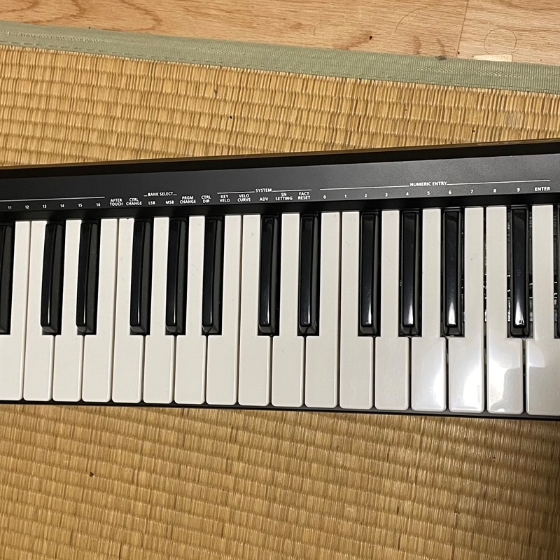 Roland A49の画像